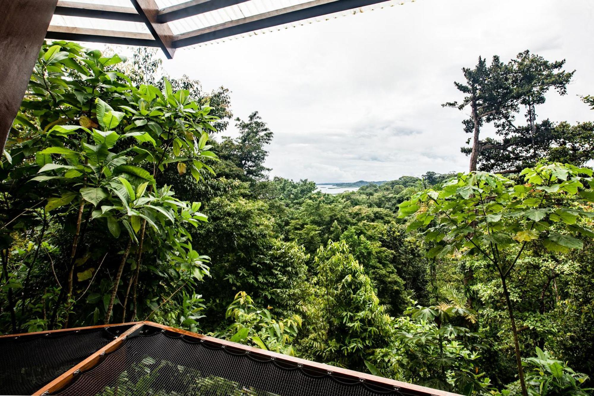 La Loma Jungle Lodge And Chocolate Farm Bocas del Toro Exteriör bild
